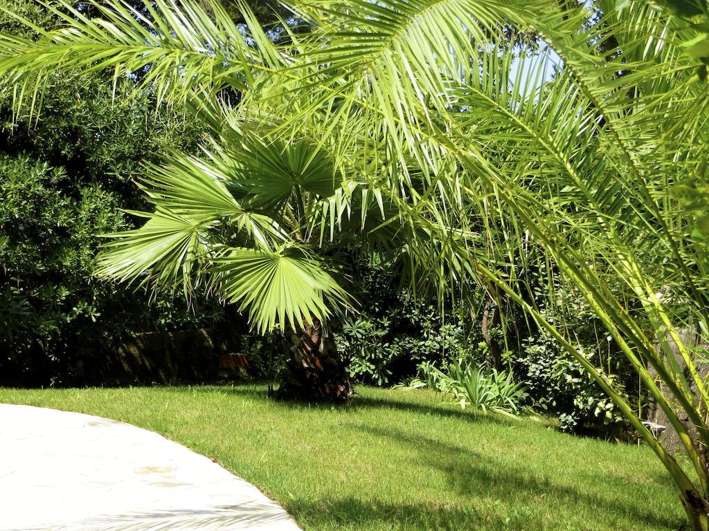 Appartement Dans Villa St Raphael Saint-Raphaël Rum bild
