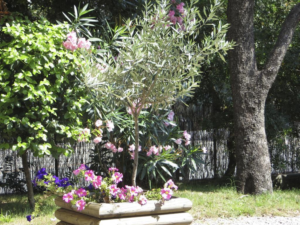 Appartement Dans Villa St Raphael Saint-Raphaël Rum bild