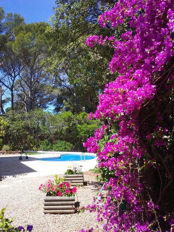 Appartement Dans Villa St Raphael Saint-Raphaël Exteriör bild